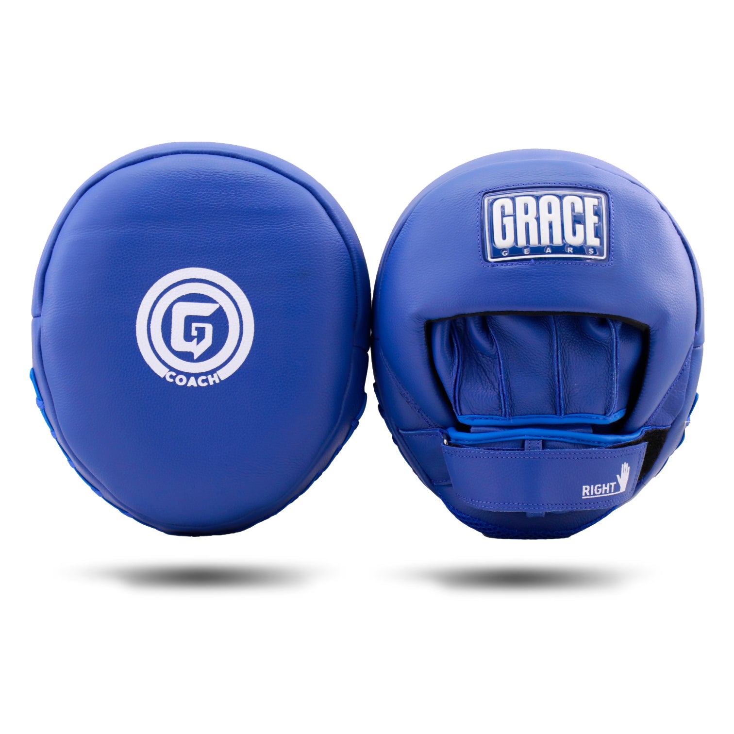 Air Focus/Punch Mitt Power Blue