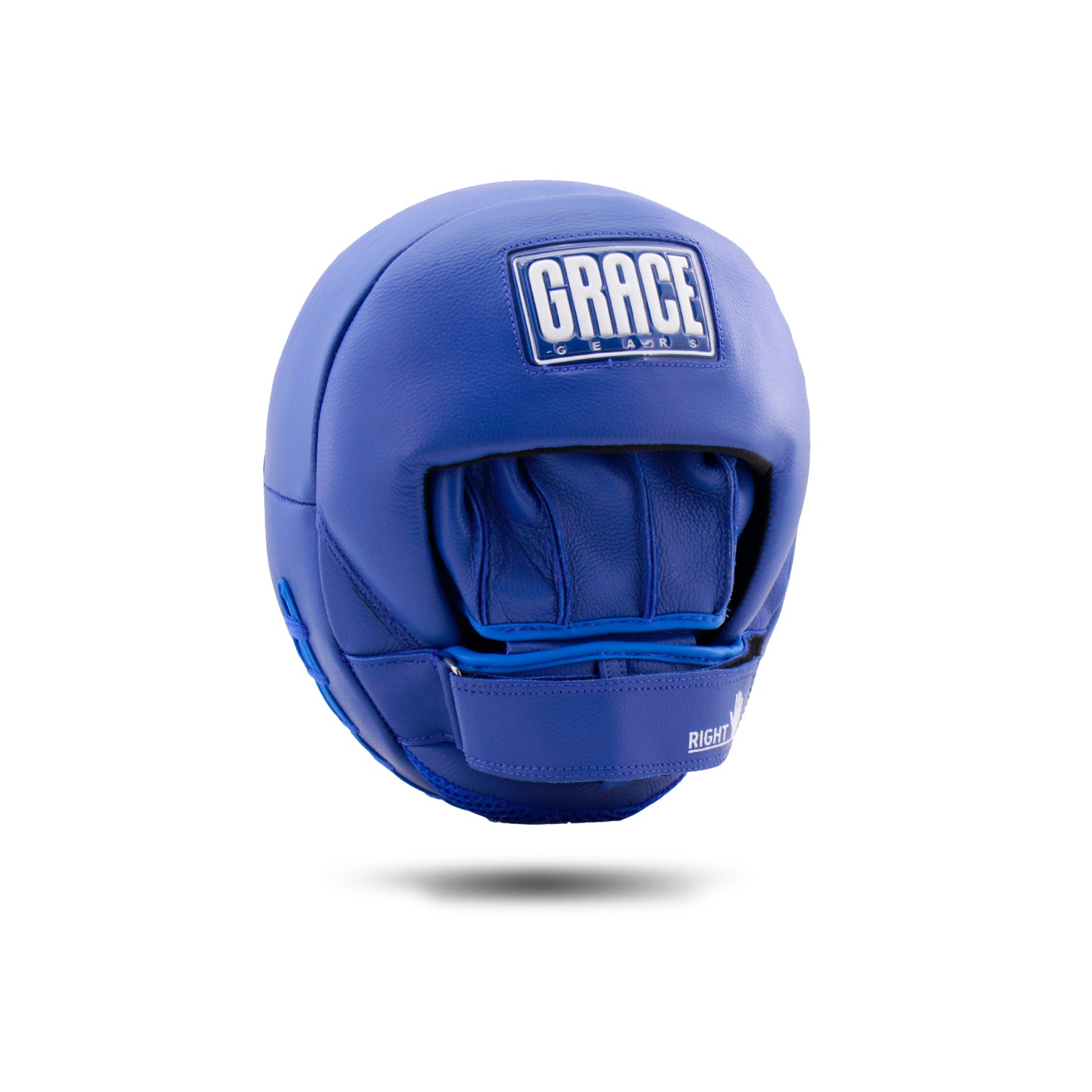 Air Focus/Punch Mitt Power Blue