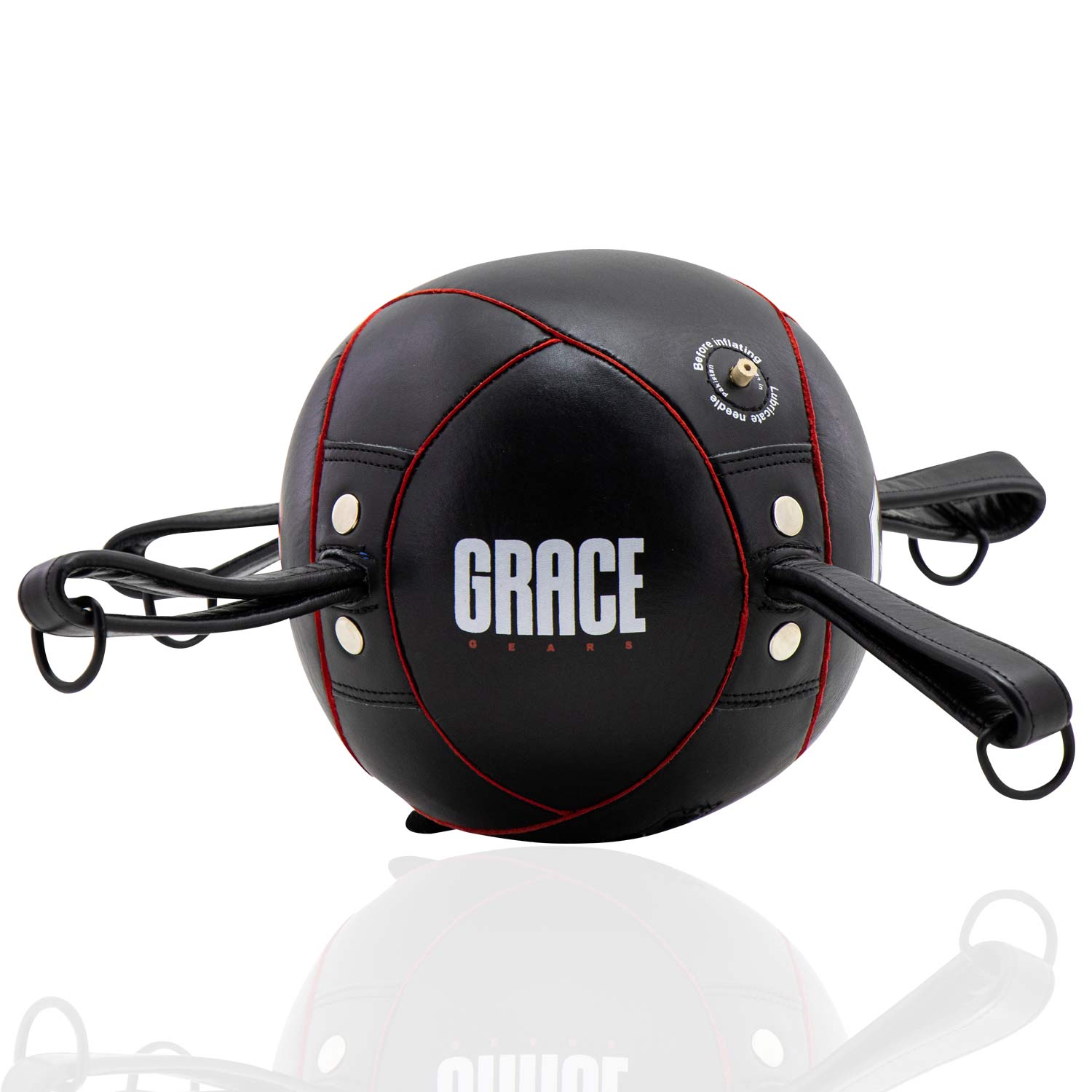 Punching Bags Reflex Bags Spider Reflex Bag